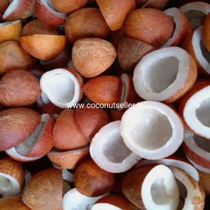 Nutritious sunflower seeds fill a wood bowl, accented with a metal scoop and yellow sunflower